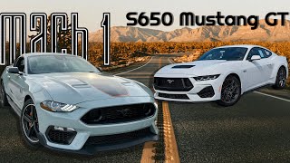 Top 5 Reasons Why I Bought a Mach 1 Mustang over an S650 Mustang GT [upl. by Furr435]