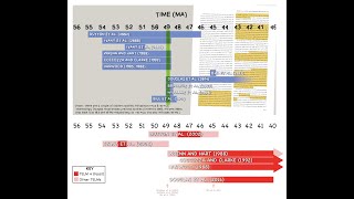 Still Misunderstanding Transitional Fossils Pt 1 [upl. by Dudley]