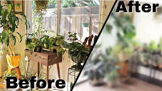 Reorganizing Indoor Plants  House Plant Furniture PART 1 [upl. by Nawek]