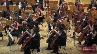 Novena Sinfonía Beethoven Orquesta Clásica Santa Cecilia [upl. by Hamforrd]