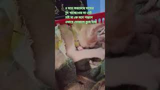 vairalvideo cuteanimal cat subscribe [upl. by Teferi]