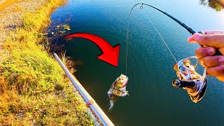 SPILLWAY FISHING for PEACOCK BASS  Tarpon Largemouth and Peacock Bass Fishing [upl. by Nebeur]