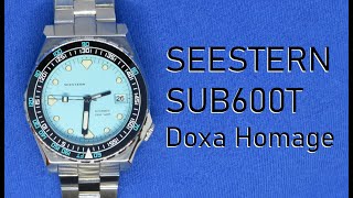 Seestern SUB600T Review [upl. by Cathy962]