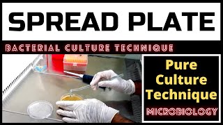 Spread Plate Technique for Colony CountingA Complete Procedure Microbiology [upl. by Poll]