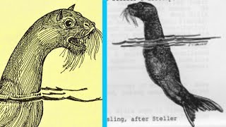 The Mystery of Stellers Sea Ape [upl. by Limay34]