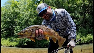 Ozark Browns  Part One  “Sight Fishing with a Euro Rig” [upl. by Norabel]