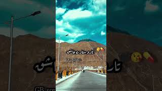 Shorts video shinasong fouryoupage gbsonggilgitbaltistan [upl. by Noslien151]