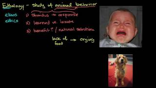 Ethology and animal behavior [upl. by Claudie]