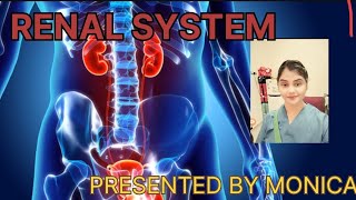 lecture on RENAL SYSTEM composed kindy ureterand bladder urethra [upl. by Tartan339]