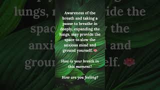 Breath Awareness Anxiety amp Stress Reduction [upl. by Dnumsed]