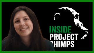 INSIDE PROJECT CHIMPS India Caregiver [upl. by Ttimme]