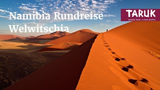 NamibiaRundreise Welwitschia  Fischfluss Canyon Etosha NP und ursprüngliche Kutur  Filmbuch [upl. by Nainatrad453]