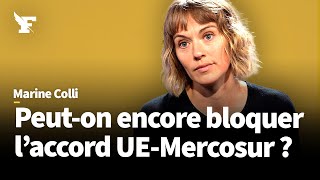 Accord UEMercosur  «On impose à l’agriculture française une concurrence déloyale» [upl. by Madigan]