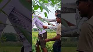 Cid comedy trailer 🤣 😂 comedy cid ytshorts trailer [upl. by Ornas]