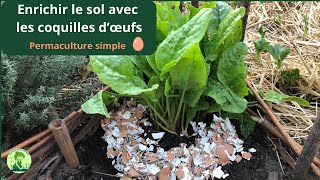 ♻️ Coquilles dœufs et offrez un boost à votre permaculture DIY  🥚🥚🥚 [upl. by Ahsias]