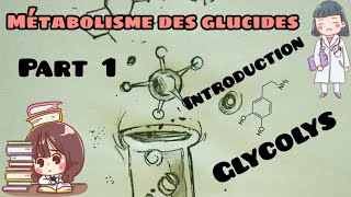 Métabolisme des glucides  introduction les étapes de glycolyse part 1 [upl. by Aisatan]