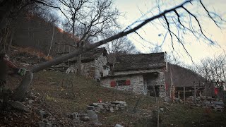 Ultimo taglio alberi per liberare lalpeggio Cassoeula su stufa a legna [upl. by Etteniotna]