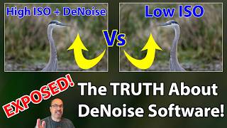 Low ISO VS High ISO  Denoise WARNING You NEED To See This Before Your Next Shoot [upl. by Sidnac]