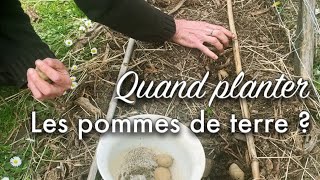 Quand planter ses pommes de terre [upl. by Rafaelia]