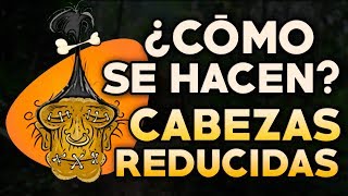 CÓMO SE HACEN LAS CABEZAS REDUCIDAS [upl. by Cecilla]