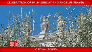 24 March 2024 Celebration of Palm Sunday Angelus prayer  Pope Francis [upl. by Alric]