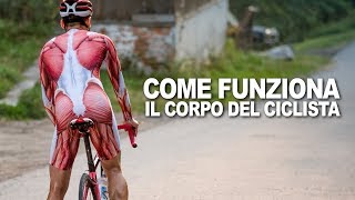 CICLISMO Come Funziona il Corpo del Ciclista [upl. by Kragh683]