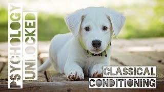 Pavlovs Dogs and How People Learn  Classical Conditioning  Behavioural Psychology [upl. by Aissela]