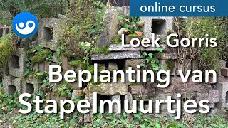 Beplanting van Stapelmuurtjes [upl. by Eiwoh243]