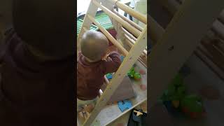 12 month old climbing pikler triangle [upl. by Meingoldas]