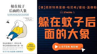 每个人都能从这本书中找到解答。带你走出“情绪 内耗”困境，拯救迷茫抑郁，拯救不快乐 《躲在蚊子后面的大象》 [upl. by Erlinna]