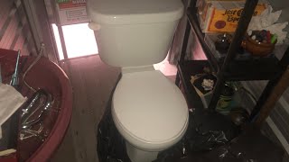 NewlyAcquired 2000s Crane Plumbing Cranada Toilet [upl. by Yssim]