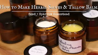 The Homestead Apothecary  How to Make Herbal Salves and Tallow Balm [upl. by Bibah]