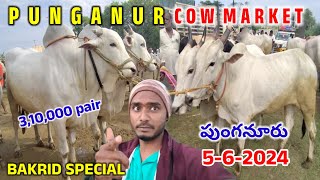 Punganur Cow Market 562024Biggest cow market in Andhra Pradesh [upl. by Sender]