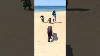 Franklin got a new dog 😄shorts gta5 gaming [upl. by Wieren]