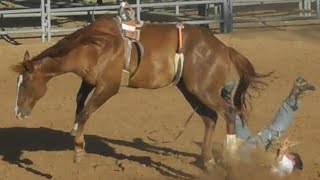 Ranch Broncs  2018 Will Rogers Range Riders Rodeo  Thursday [upl. by Gothurd]