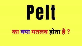 Pelt Meaning in Hindi  Pelt Ka Hindi Matlab  What Is Pelt  Pelt Ka Matlab Kya Hota Hai [upl. by Alfonzo707]