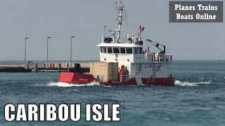 CARIBOU ISLE Coast Guard Ship In St Clair River [upl. by Farra]