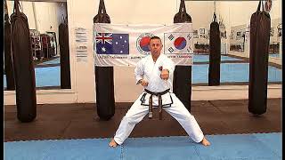 Master Paul White Belt Instructional Video [upl. by Swanhildas]