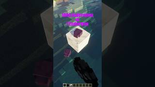 1000 Endermites vs 1 Enderman minecraft shorts [upl. by Nira]