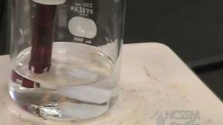 Polyprotic Acid Titration Lab [upl. by Akalam]