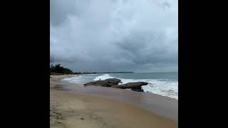 Mirissa Beach in Sri Lanka  The Ultimate Travel Destination [upl. by Adnoyek370]