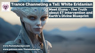 Trance Channeling a Tall White Eridanian The Truth About ET Intervention amp Earths Divine Blueprint [upl. by Aenal]