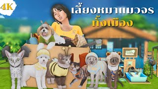 EP2 ทำสวนมะละกอเลี้ยงหมาแมวจรทุกตัวในซิมส์4  Can we open an animal shelter in The Sims4 [upl. by Magdalene]