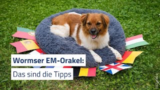 Wormser EMOrakel tippen das Achtelfinalspiel der Deutschen [upl. by Turnbull]