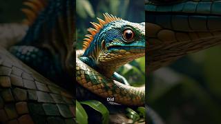 The legless lizard nature evolve lizard fyp shortvideo [upl. by Romulus882]