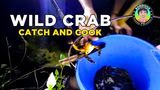 Wild Crabs Catch and Cook  From River to Plate [upl. by Asiralc]