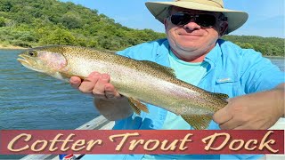 August 14 2024 Arkansas Trout Fishing Report [upl. by Nauqal350]