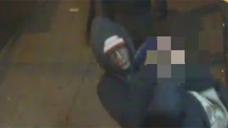 Williamsbridge Bronx Robbery Suspects [upl. by Dowski150]