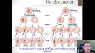 Genetic issues with Meiosis [upl. by Gris]