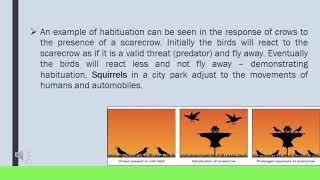 ZOOL1112  Lecture 17  Learning and Habituation [upl. by Tatiania]